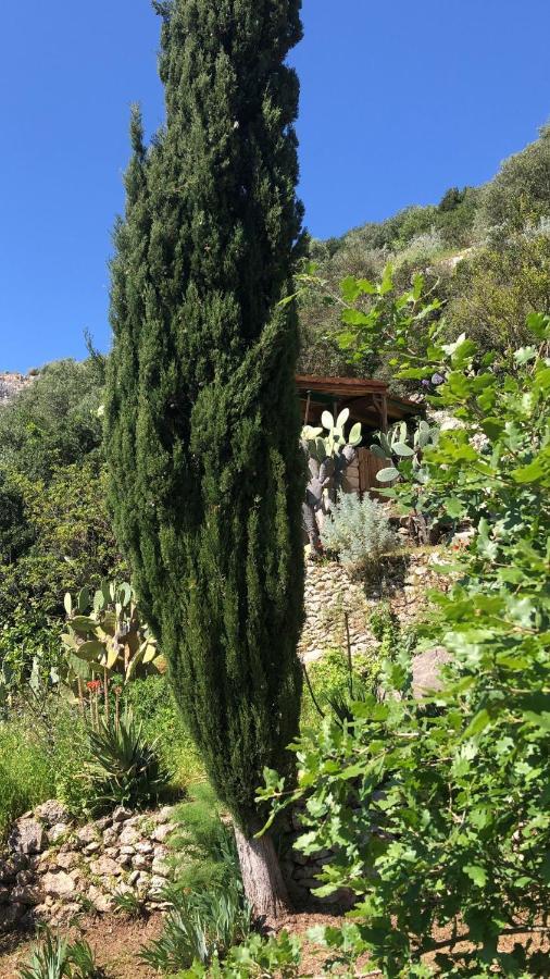 Vistalago Garden Doria Monteleone Rocca Doria Ngoại thất bức ảnh