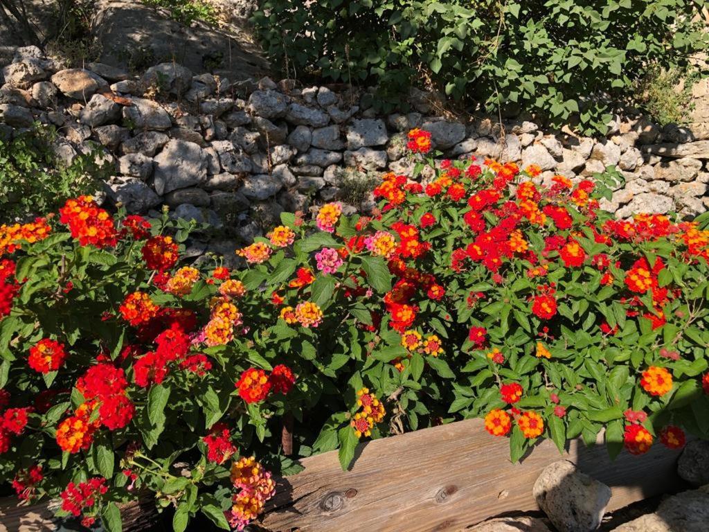 Vistalago Garden Doria Monteleone Rocca Doria Ngoại thất bức ảnh